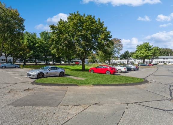 Apartment complex parking lotat Fox Hill Commons, Vernon, CT, 06066