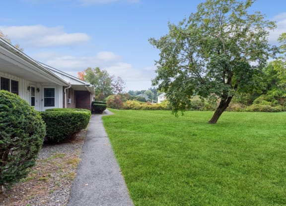 a sidewalk leading to a house with a lawn and a tree