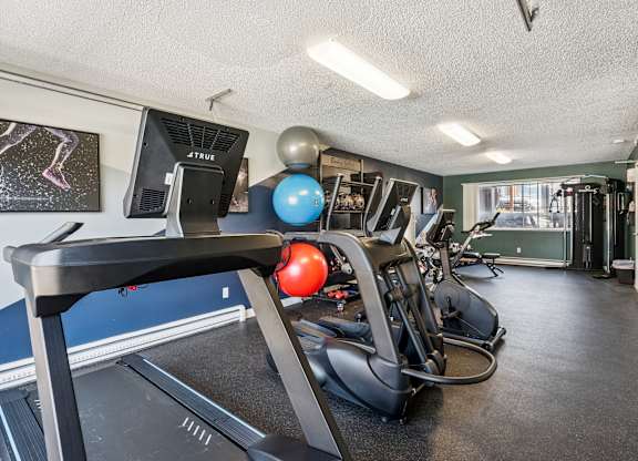 A gym with treadmills, exercise balls, and a television.