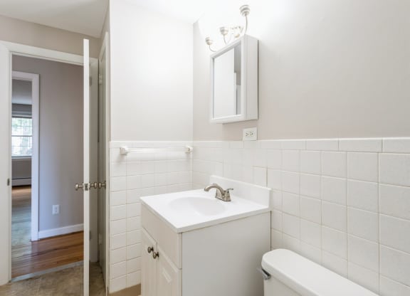 a bathroom with a sink and a mirror and a toilet