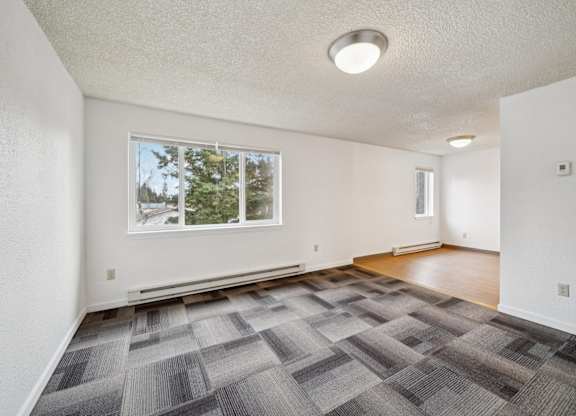 A room with a carpeted floor and a window showing trees outside.