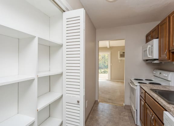 Pantry view from the kitchen