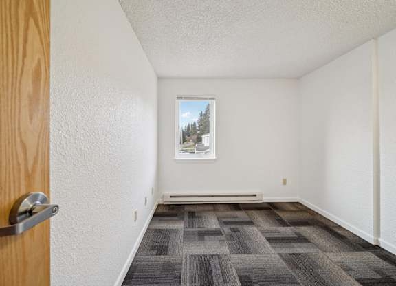 A room with a grey carpet and a window showing trees outside.