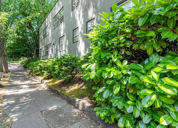 A green bush is in front of a grey building.