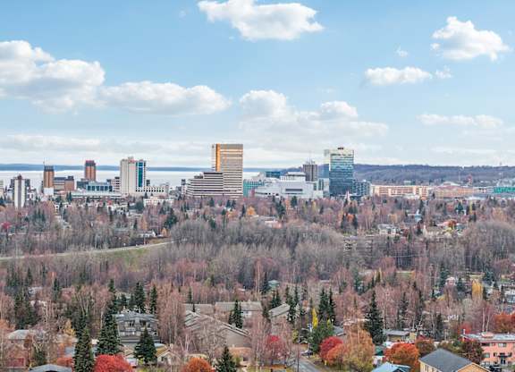 A cityscape with a mix of residential and commercial buildings, surrounded by trees with autumn foliage.