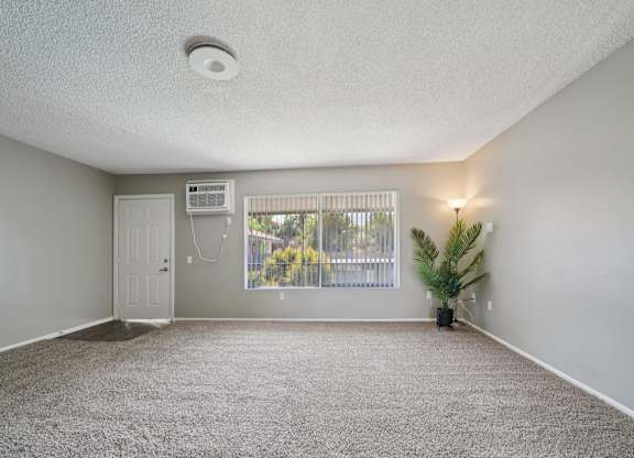 A room with a carpeted floor and a window with blinds.
