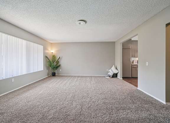 A room with a carpet, a plant, and a window with blinds.