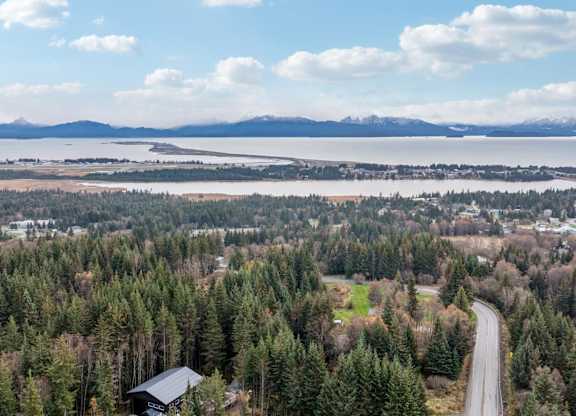 A winding road cuts through a forest in the foreground with a lake and mountains in the distance.