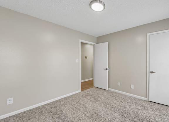 A room with a carpeted floor and two white doors.