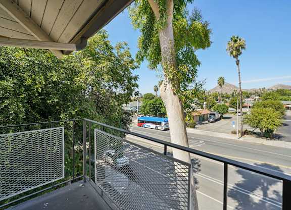 A view from a balcony overlooking a street with cars and palm trees.