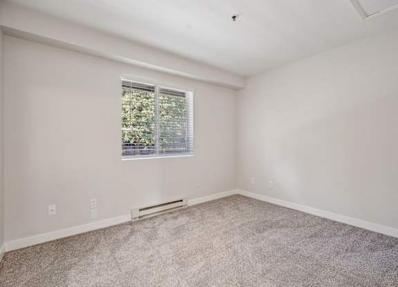 A room with a window and carpeted floor.