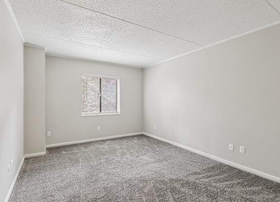 A room with a carpeted floor and a window with blinds.