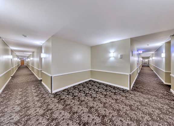 A long hallway with carpets at Oak Park City, Oak Park, 60301