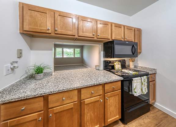 A kitchen with granite countertops and wooden cabinets. at Oak Park City, Oak Park Illinois