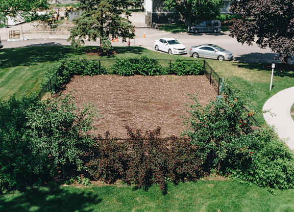 A large mound of dirt is surrounded by greenery at Astor Place of Edina Apartments , Edina