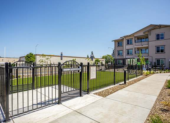 A black gate surrounding the dog park