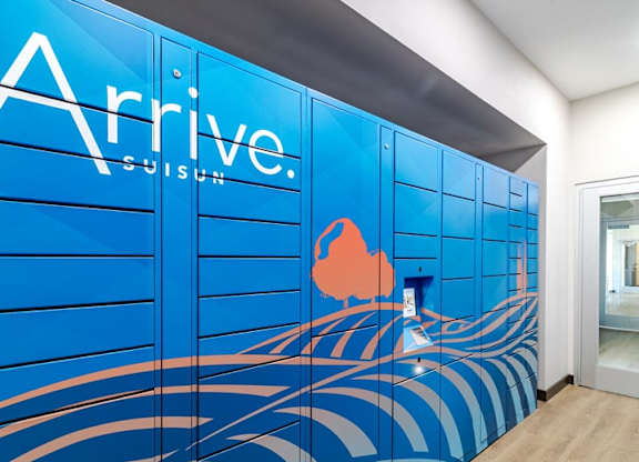 A blue wall with the word 
