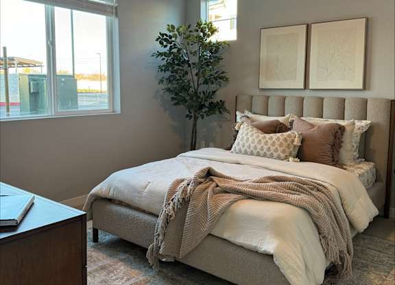 A bedroom with a bed, a ceiling fan, and a plant.