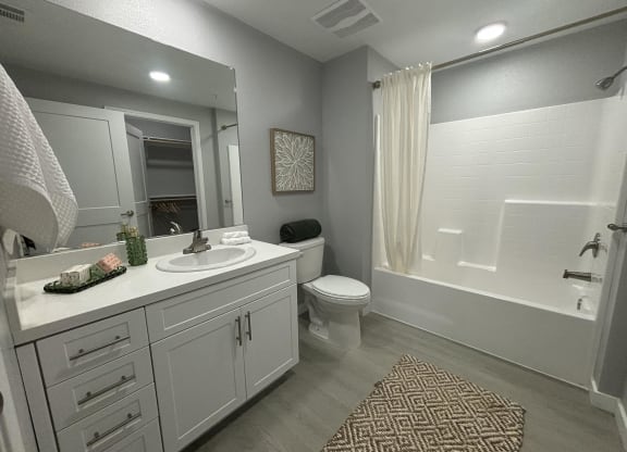 a bathroom with a sink and a shower and a toilet