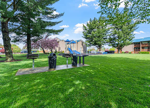 A park with a bench and a tree.