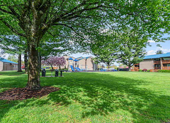 A tree in a grassy area with a building in the background.