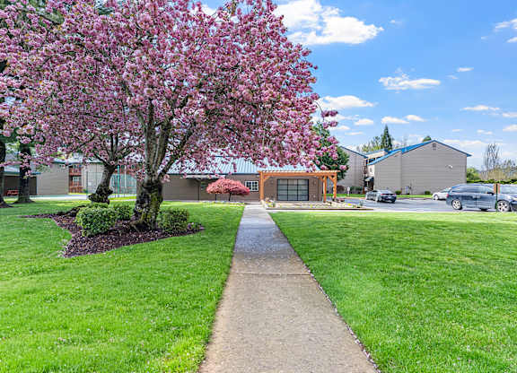 A tree with pink blossoms is in the foreground of a grassy area.