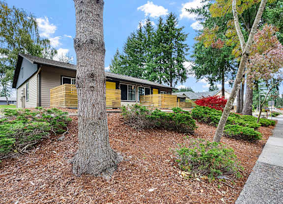 A tree stands in front of a yellow house.