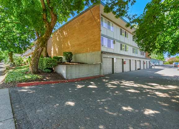A tree is in front of a building.