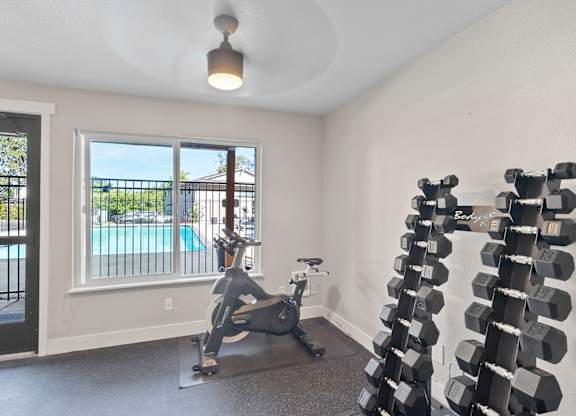 A room with a row of dumbbells on the right and a treadmill on the left.