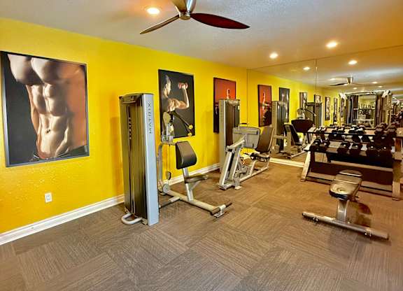 A gym with a variety of equipment including a treadmill, weights, and a bench press.