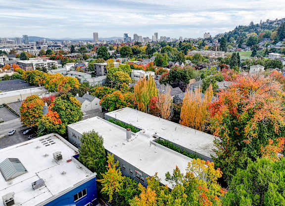 A view of a city from above with buildings and trees in the foreground.