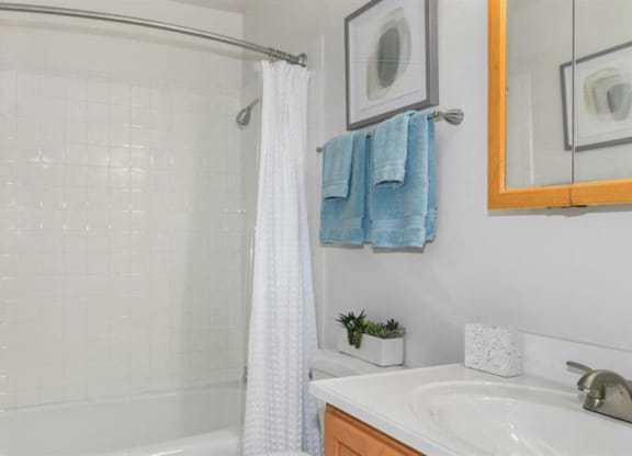 Bathroom With Bathtub at ReNew Aurora, Aurora