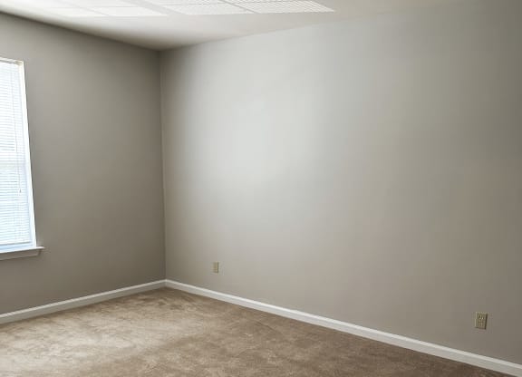 a bedroom with gray walls and a beige carpet at Woodgate, Charlottesville