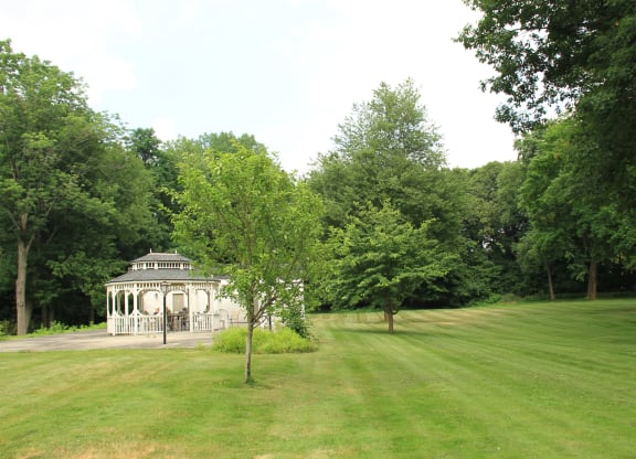 a white gazebo in the middle of a grass fieldat Renew Worcester, Worcester, 01602