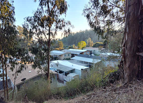 A view of homes and trees at Salinas Sunset Apartments, Salinas, CA, 93907