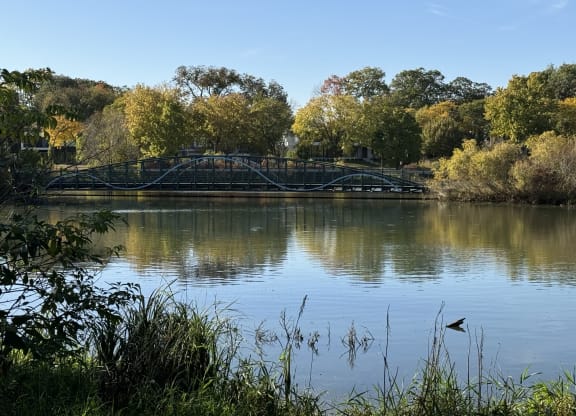 Lake Harriet Bridge and Scenic Views