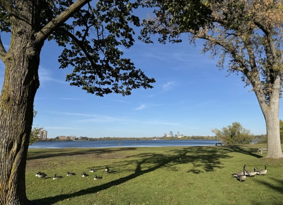 Lake Harriet Scenic Views