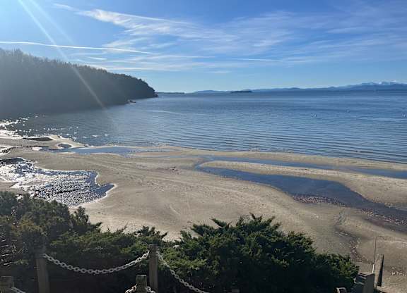 A beachon the lake.