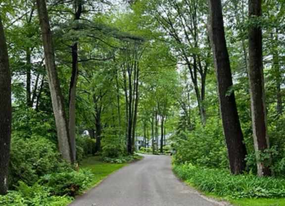 A tree-lined road stretches into the distance.