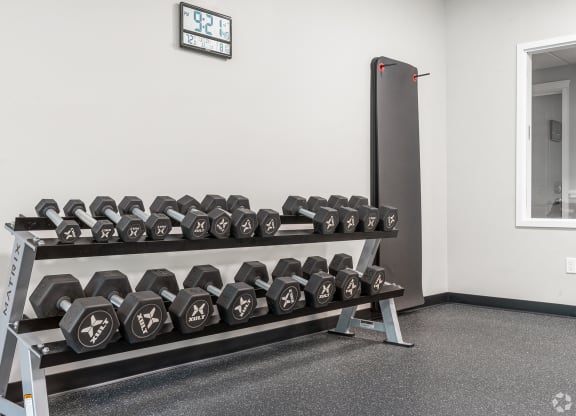 Fitness Center with a row of dumbbells on a shelf in a gym at Lofts at 335, Connecticut, 06615