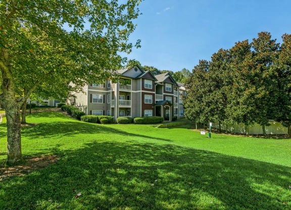 Lush Green Landscaping at ReNew Sugar Hill, Sugar Hill, GA