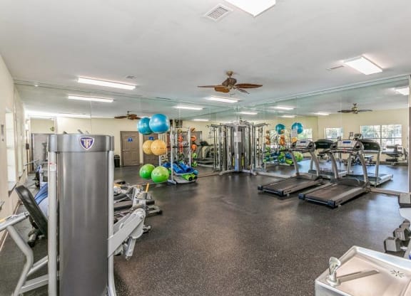 Fitness Area at ReNew Sugar Hill, Sugar Hill, GA