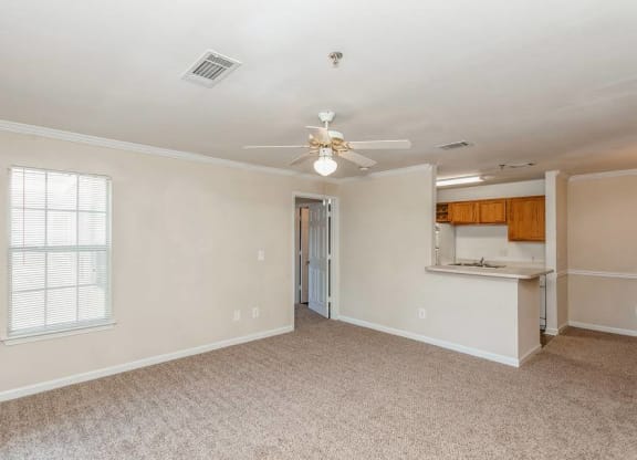 Living And Kitchen at ReNew Sugar Hill, Sugar Hill