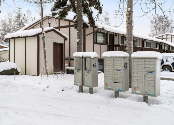 three mailboxes in the snow in front of a house  at ReNew End Street, Eagle River, AK, 99577