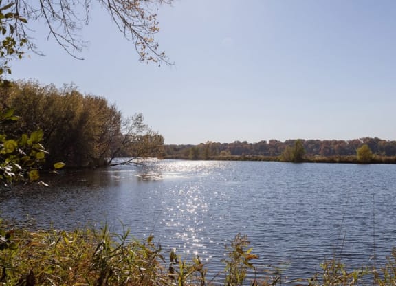 Breathtaking Pond-View at ReNew at Neill Lake, Eden Prairie, 55344