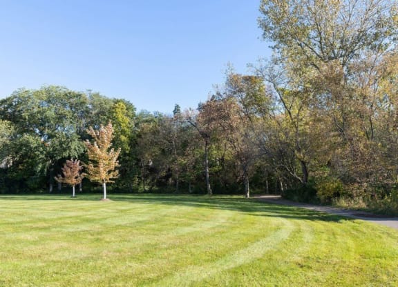 Lush Green Landscaping at ReNew at Neill Lake, Minnesota