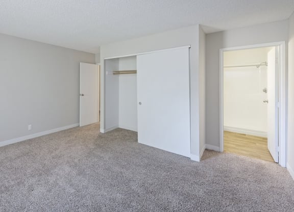 Plush Carpeting at ReNew at Neill Lake, Minnesota, 55344