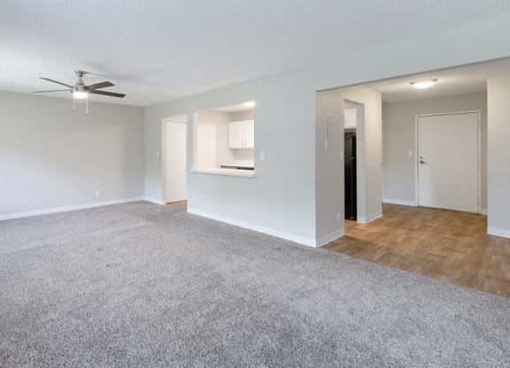 Plush Carpeting at ReNew at Neill Lake, Eden Prairie