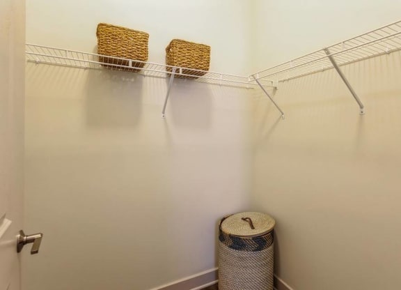 Large Closet at Arrive Federal Hill, Maryland, 21230