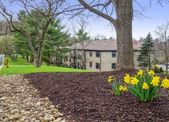 Tree Plantation at Williamsburg South, Pittsburgh, PA, 15228